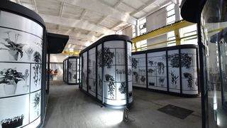 chioscuri de flori sector 6