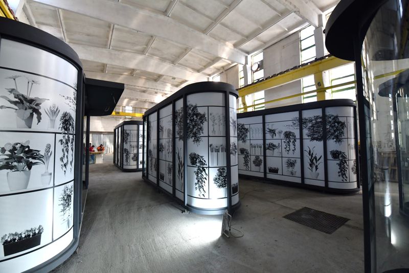 chioscuri de flori sector 6