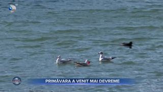 VIDEO - Primăvara a venit mai devreme. Temperaturile calde i-au făcut pe bucureșteni să iasă din case