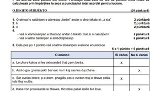 Barem Limba Maternă simulare Evaluare Națională 2024 limba rromani