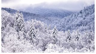 Ninsoare Paște 2024