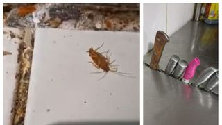 Restaurant &icirc;nchis Iași