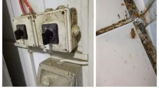 Momente de groază într-un restaurant din Iași! Unul dintre clienții localului nu a mai stat pe gânduri și a sesizat OPC, după ce a văzut ce avea în farfurie