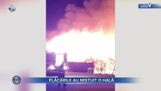 VIDEO - Incendiu puternic la o hală din Lujog! 1.000 de metri pătrați au fost afectați de vâlvătaie