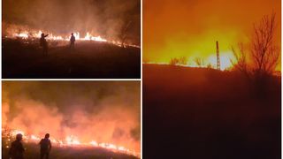 VIDEO- Ard sute de hectare de vegetație în România. Pompierii se luptă cu lichidarea incendiilor