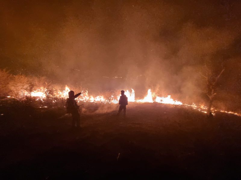 incendiu de vegetatie