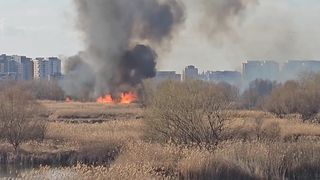 Incendiu puternic în Delta Văcărești! Pompierii intervin