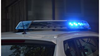 Alexandru omorât soră Bihor