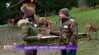 VIDEO - „Ce faci în weekend”, cu Claudia Costandiș. Călătorie magică pe Valea Avrigului, la Ferma de Cerbi și Castelul de Lut din Valea Zânelor