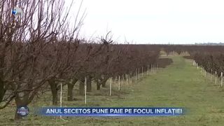 VIDEO - Fructele și legumele, mai scumpe din cauza inflației. Fermierii nu au vești bune pentru viitor/ Păm&acirc;ntul este uscat &icirc;n mai multe zone din țară