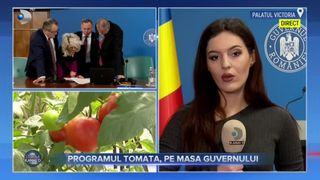 VIDEO - Programul Tomata, pe masa Guvernului. Ce sume pot încasa legumicultorii în acest an?