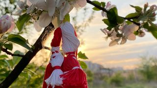 copac inflorit in martie de martisor