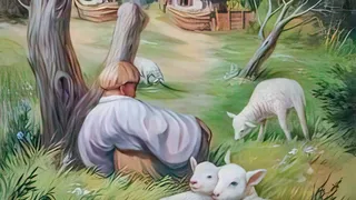 Ce vezi prima dată în această iluzie optică?