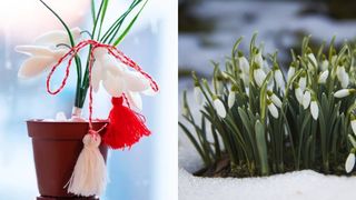 Tradiții de 1 Martie 2024: Ce nu este bine să faci de Mărțișor?