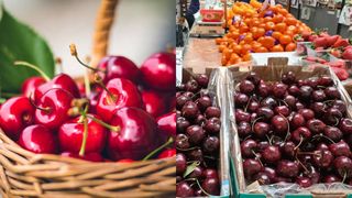 Au apărut primele cireșe! Cât costă în piețe un kilogram din delicioasele fructe în luna februarie?