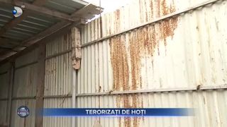 VIDEO- O comună din județul Galați este terorizată de hoți, de un individ cu un topor. Bărbatul le fură animale sau fdiferite obiecte