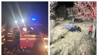 Albert mort Scoarța