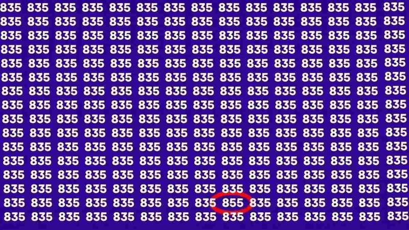 Iluzia optică a momentului. Ai un IQ peste medie dacă vezi numărul diferit în maxim 11 secunde