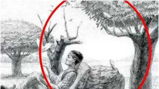 Rezolvare test inteligență cal