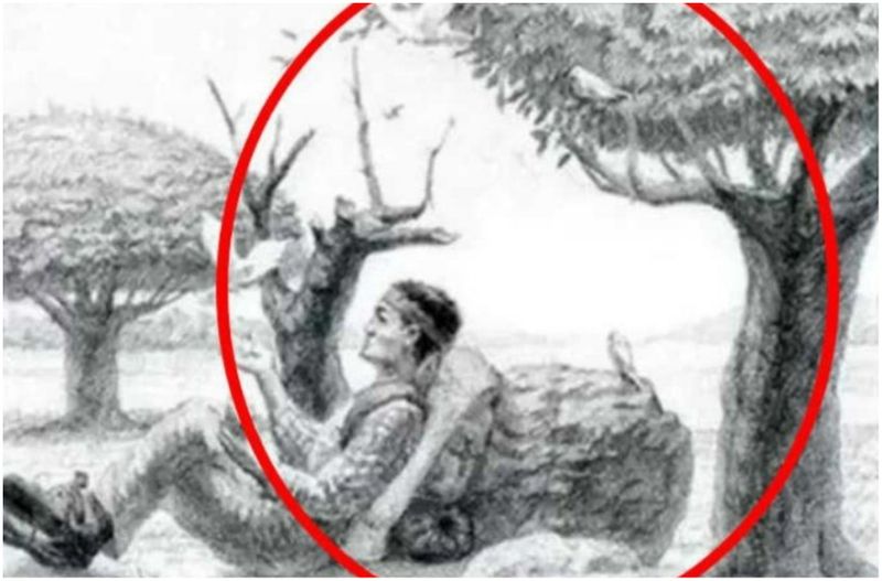 Rezolvare test inteligență cal