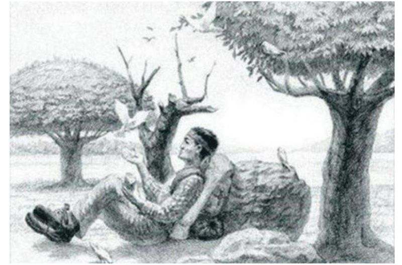 Rezolvare test inteligență cal