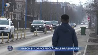 VIDEO- Gazon și copaci pe clădirile din Brașov. Inițiativa va transforma orașul în capitala verde a României