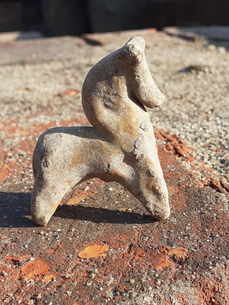 Jucărie veche de 800 de ani, descoperită de arheologi în Polonia.