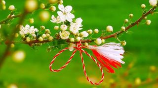 legatul martisorului in copac