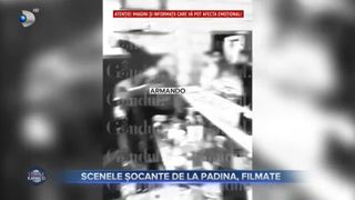 VIDEO - Au apărut primele imagini cu scenele crimei de la Padina! Mai mulți martori la tragedie au încercat să-i oprească pe agresori