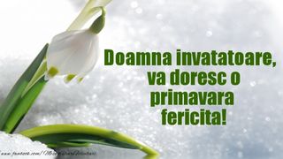 mesaj pentru doamna invatatoare