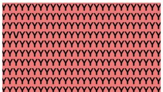 Iluzie optică. Doar cei cu un IQ ridicat pot găsi litera V în doar 15 secunde