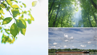 Orașul cu cel mai curat aer din România