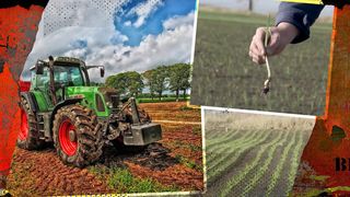 VIDEO - Ajutor din partea Guvernului pentru fermierii rom&acirc;ni. Ce categorie dintre aceștia vor primi mai devreme jumătate din subvenția anuală?