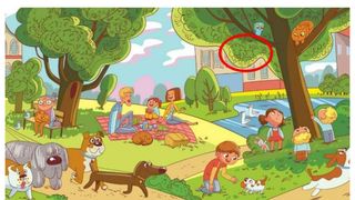 Soluție test iluzie optică