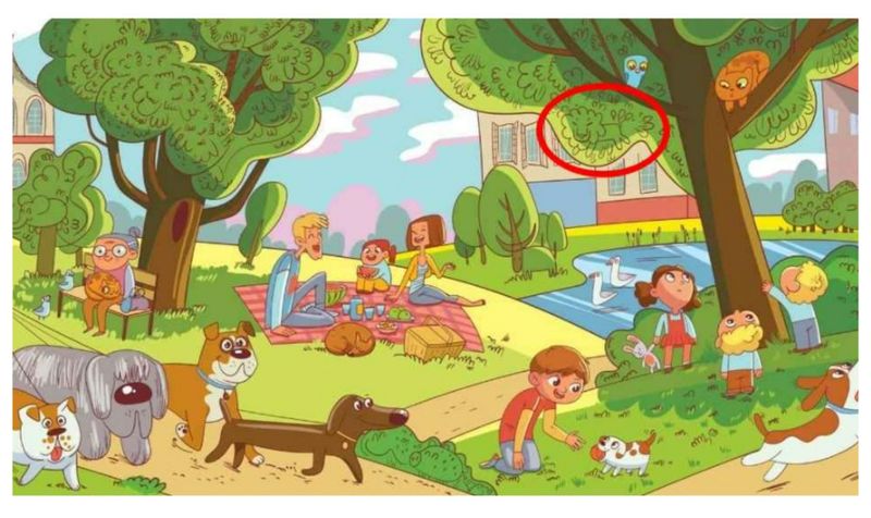 Soluție test iluzie optică