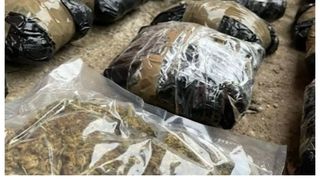 Bătr&acirc;nă Ialomița dealer droguri