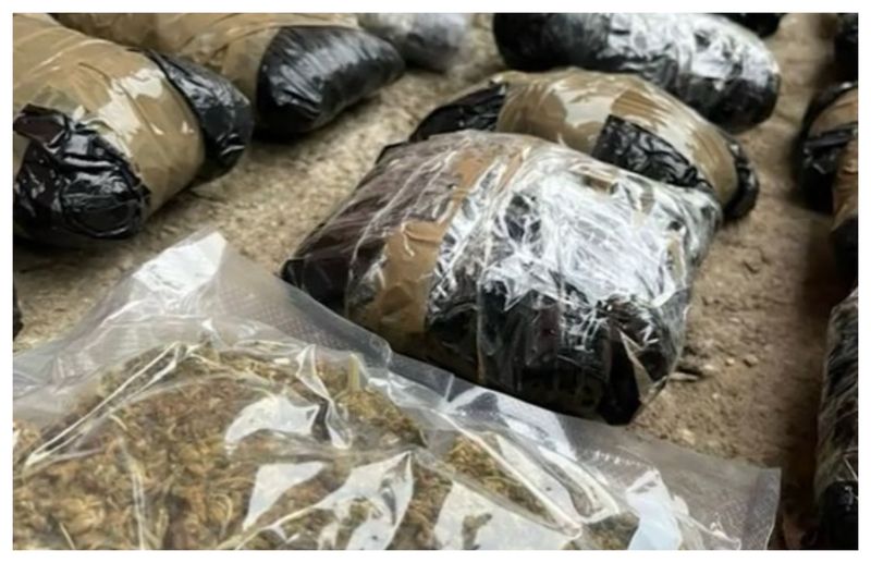 Bătrână Ialomița dealer droguri