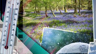 Cum va fi vremea în luna martie? Elena Mateescu, meteorolog ANM: "Vom avea început de primăvară mai cald decât în mod normal"