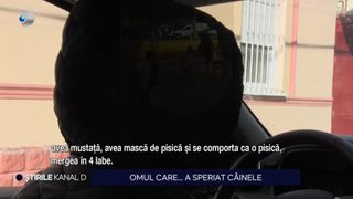 VIDEO- O persoană costumată în pisică a atacat un câine, într-un parc din Arad. "A început să miaune le el, a început să-l zgârie"