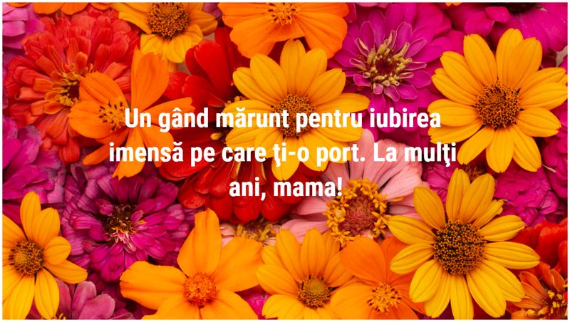 Felicitări,  mesaje și urări de 8 Martie 2024 pentru Ziua Femeii și Ziua Mamei