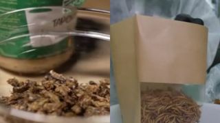 VIDEO - Asta-i România! Cri, cri, cri, greier gri, nu credeam că te-om găti! Preferă sau nu românii să mănânce insecte?