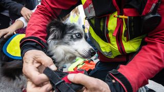 Operațiune miraculoasă de salvare a unui cățeluș! Animăluțul a căzut &icirc;ntr-un puț de peste 35 de metri