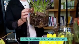 VIDEO - Florile primăverii, într-o nouă prezentare. Cele mai impresionante aranjamente pentru 8 martie