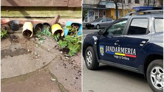 Trei comercianți s-au luat la bătaie în Botoșani. Ca arme, bărbații au fost folosit flori și ghivece