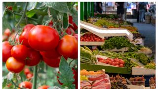 VIDEO: Cât au ajuns să coste roșiile românești? Românii nu-și mai permit nici alte legume