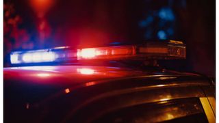 Spion rus mort Baia Mare