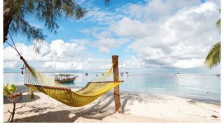 Deces carne broască Zanzibar 