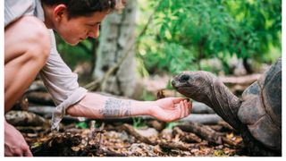 Deces carne broască Zanzibar