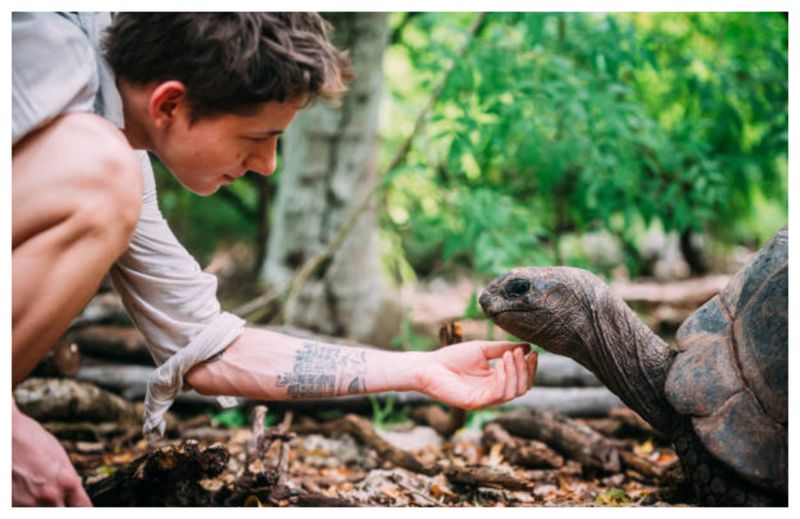 Deces carne broască Zanzibar