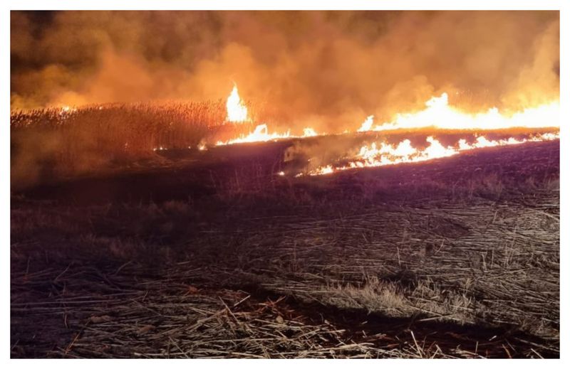 Incendiu Delta Dunării